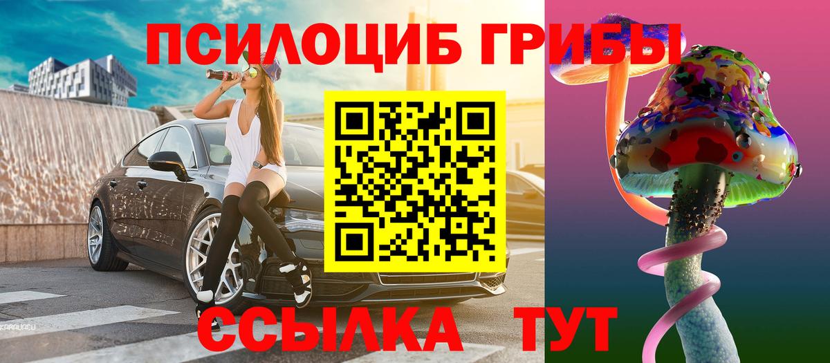 Псилоцибиновые грибы Cubensis  Вход с VPN  Реутов  Псилоцибиновые грибы Psilocybine cubensis 
