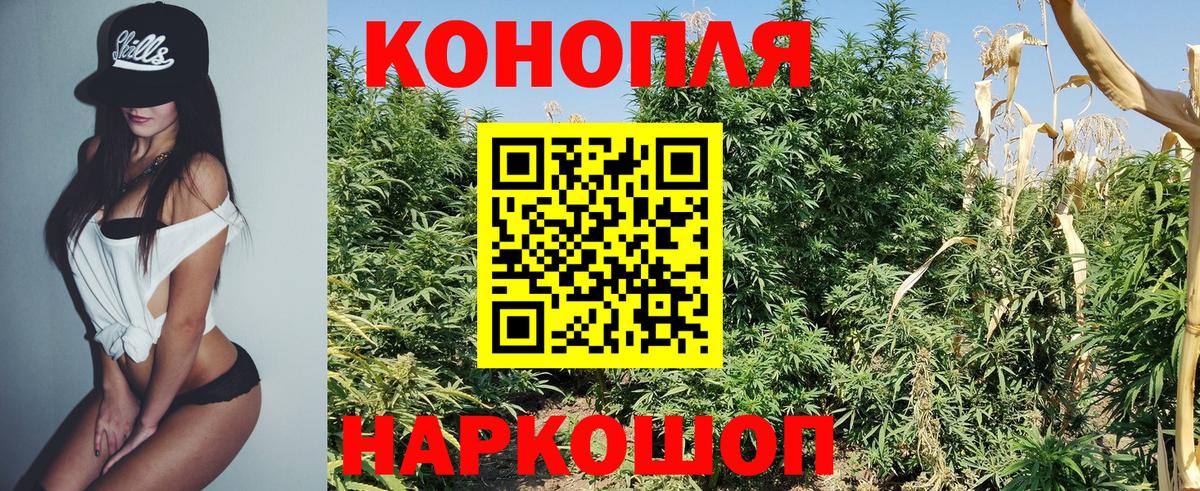 Конопля тримм  Бошки Шишки сатива  Марихуана ГИДРОПОН  Конопля White Widow  Вход с VPN  Реутов 